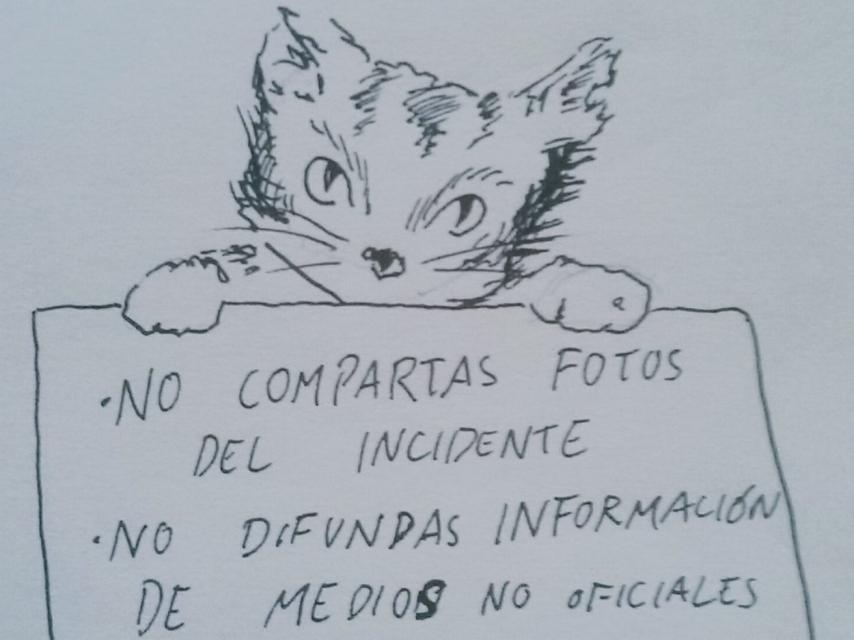 Una de las imágenes de gatos