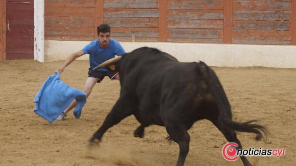Zamora-encierro-guarrate-toros-cogida-139