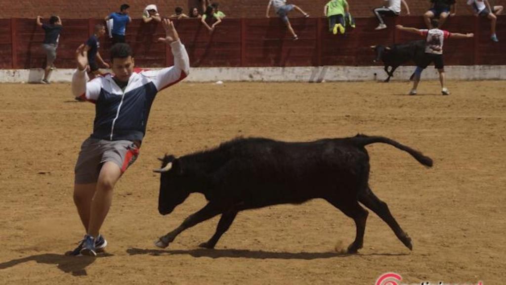 Zamora-Fuentesauco-encierro-lunes-toros-099