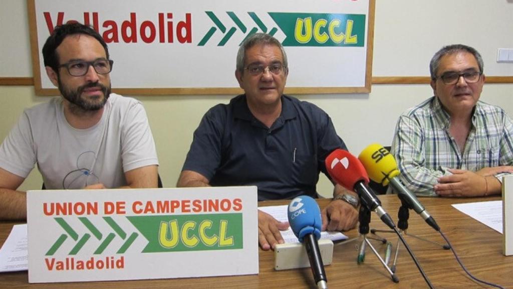 uccl mercado ecologico 1