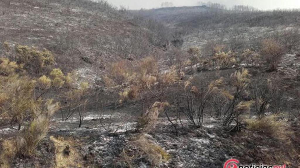 Foto Encinedo quemado