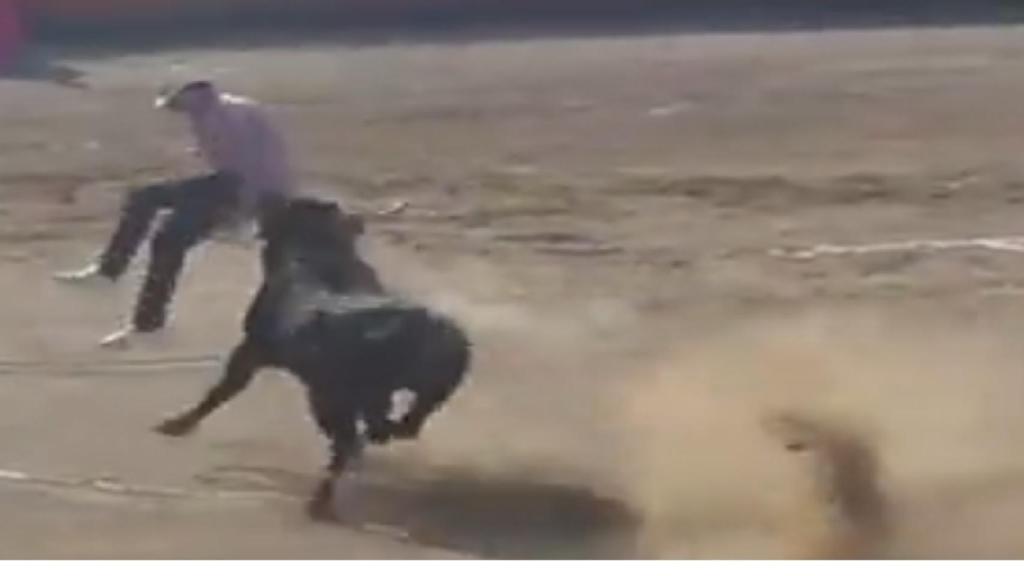 Momento en el que el miura pega una voltereta al antitaurino