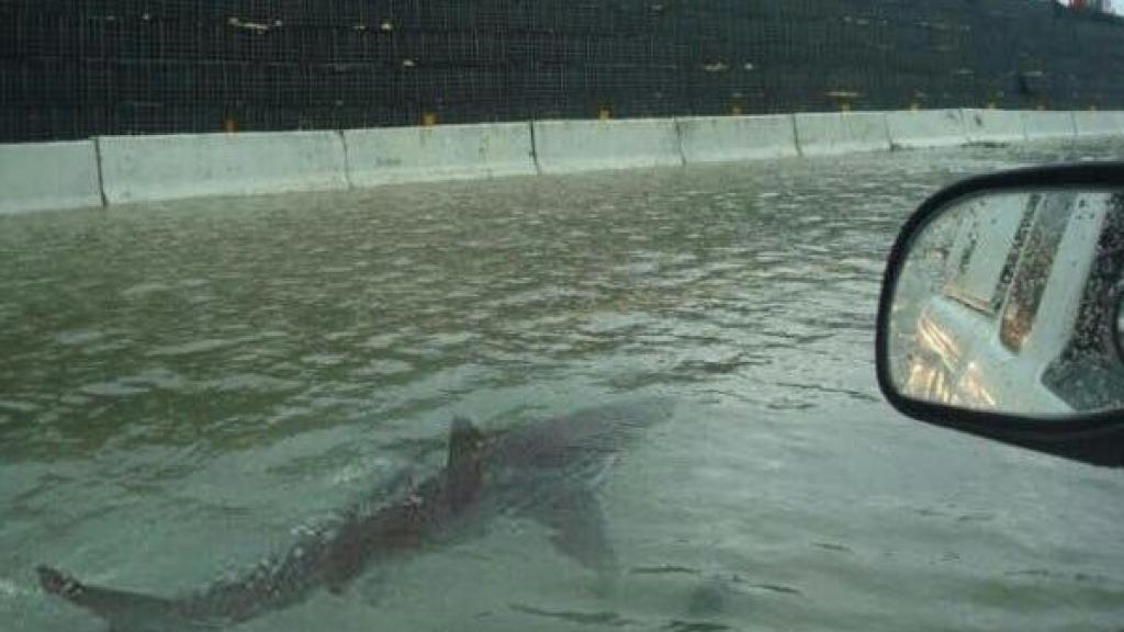 Esta imagen ha aparecido ya después de otros huracanes