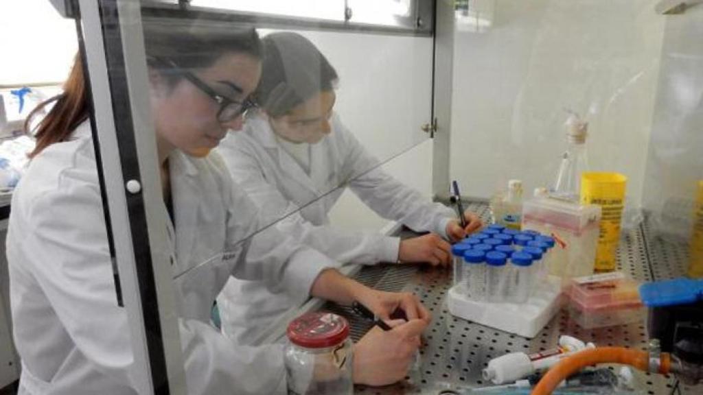 Foto Biologia Molecular-16.preview