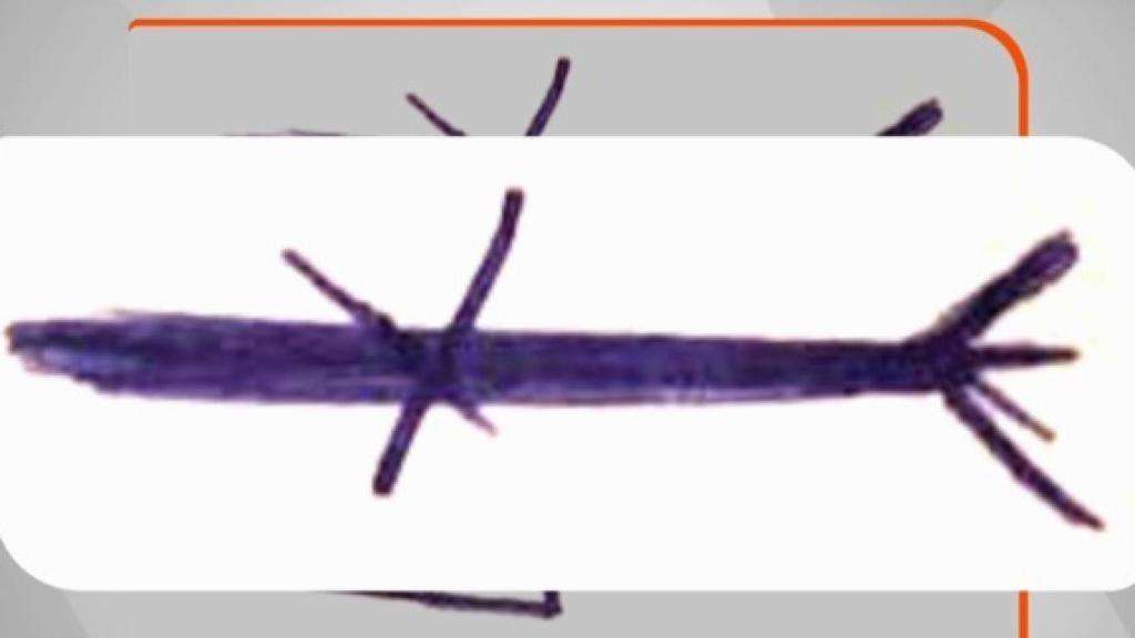 Amenazas recibidas por Alejandra reproducidas por Espejo Público