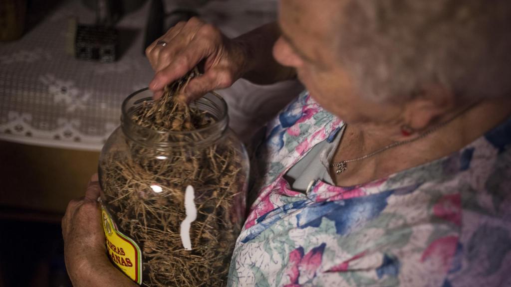 Alguna de las plantas empleadas en la elaboración de los aceites de Rafaela.