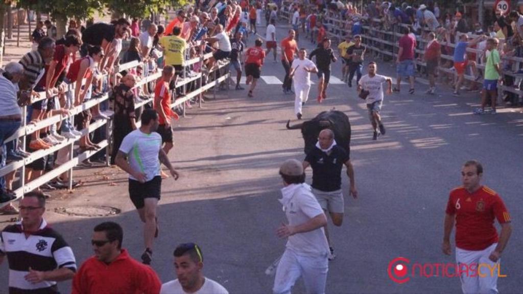 encierro medina del campo fiestas san antolin 72