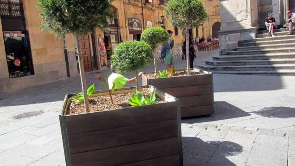 jardineras-salamanca
