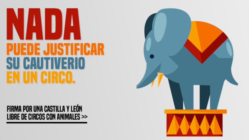 sDHoBRLQUltgire-800x450-noPad