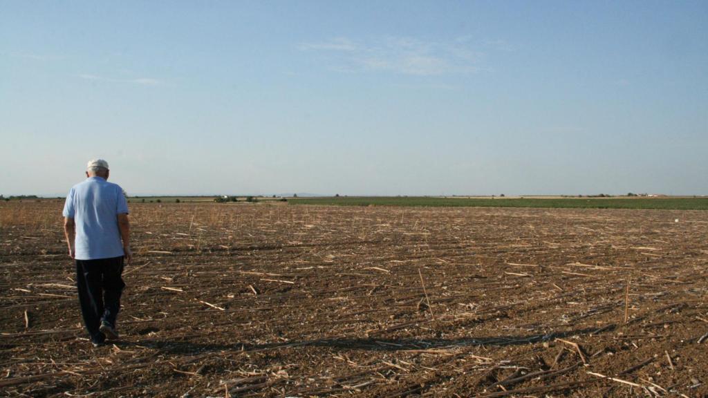 Juan Morillo, de la Comisión de la Memoria Histórica de Fuentes de Andalucía, en el terreno donde van a excavar.