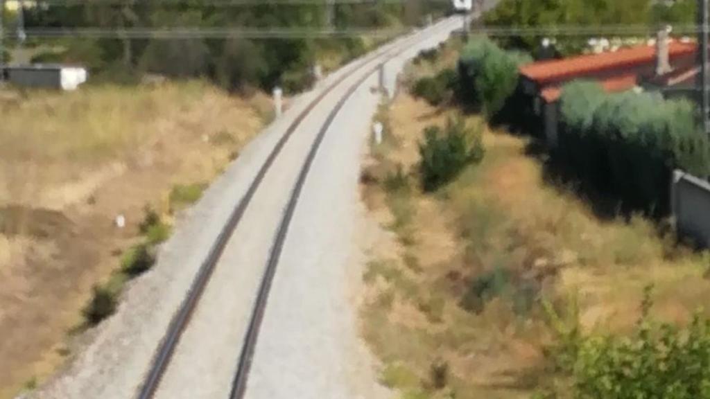 El menor ha muerto en el término municipal de Pepino, cerca de Talavera de la Reina.