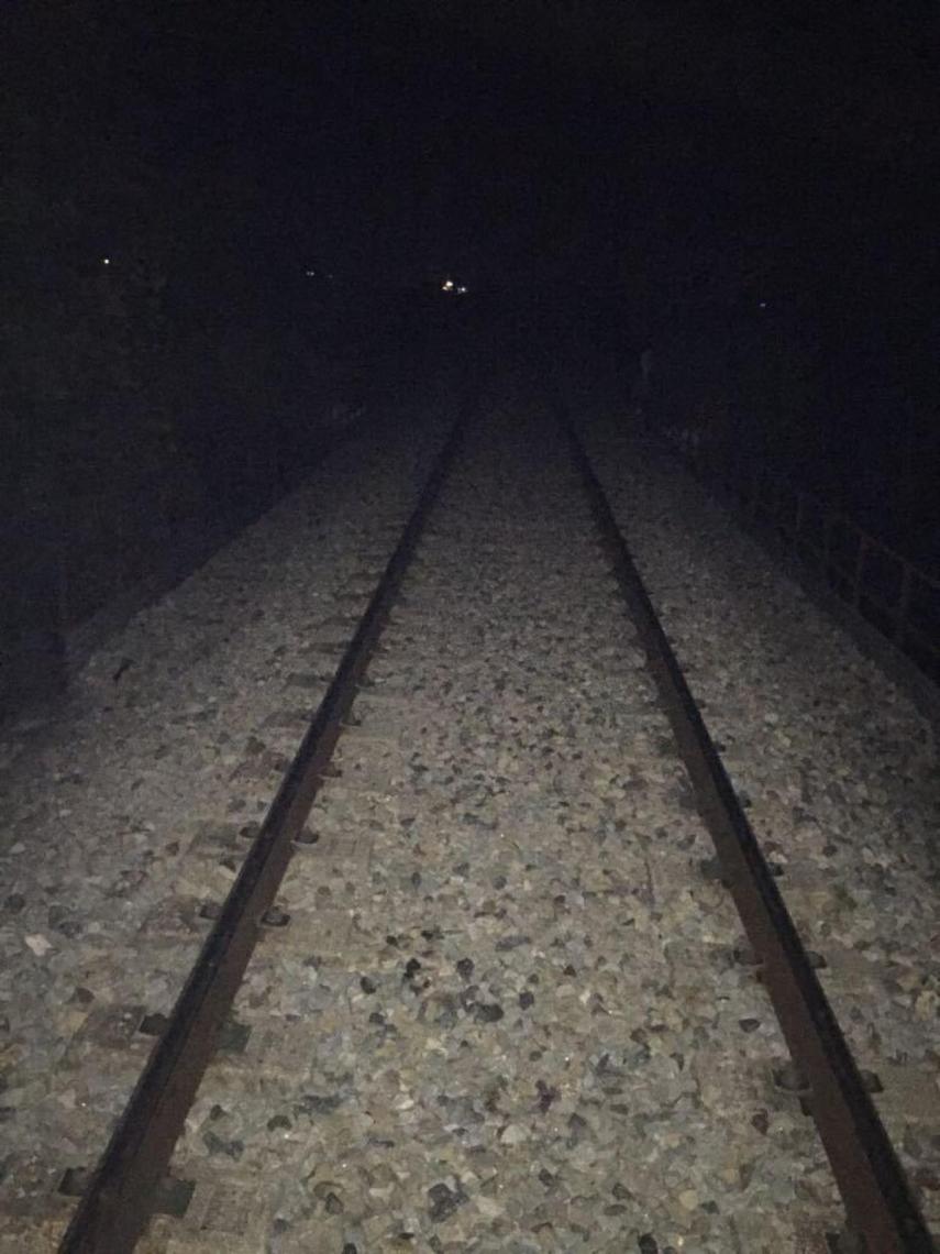 Las vías del tren cruzan por un paso elevado rodeado por vallas. Luis no pudo esquivar el convoy.