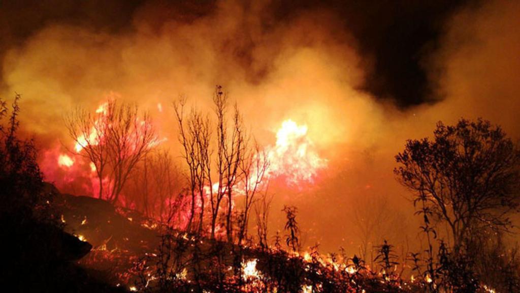 zamora incendio san martin pedroso trabazos
