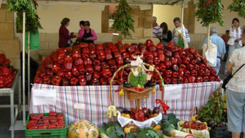 zamora benavente feria pimiento copia