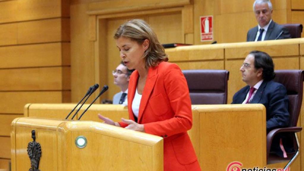 zamora senado clara san damian