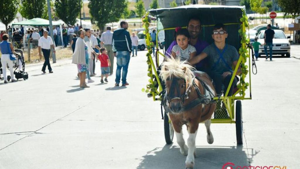 feria-del-caballo-2016-ciudad-rodrigo-8