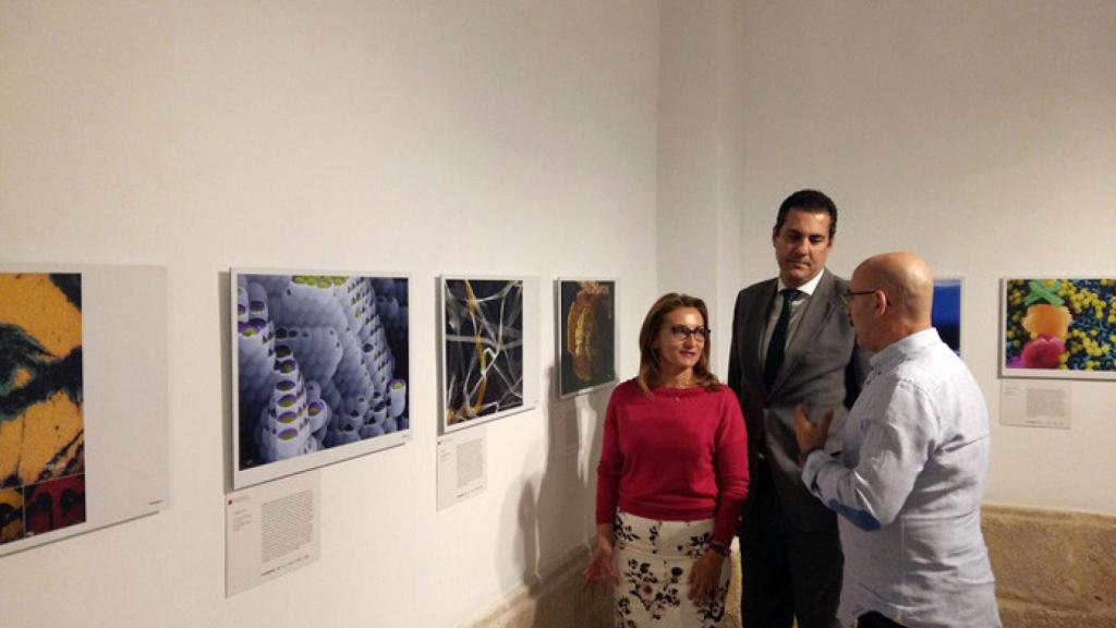 zamora exposicion fotografia cientifica