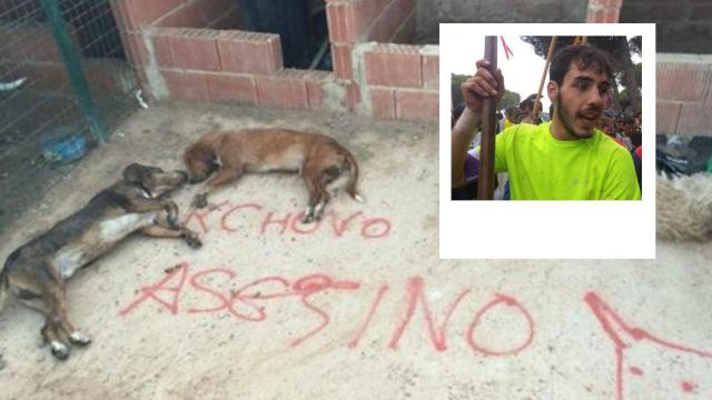 Los perros encontrados muertos por Fran Alcalá 'Cachobo'.