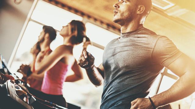 Los aliados más trendy para tu vuelta al gym