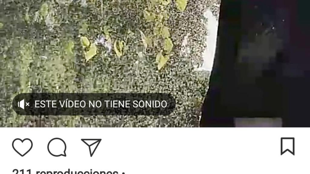 Instagram encuentra la forma perfecta de poner o quitar sonido a los vídeos