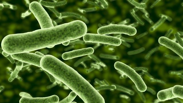 Ilustración de una infección bacteriana.