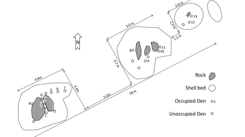 El plano de Octlantis.