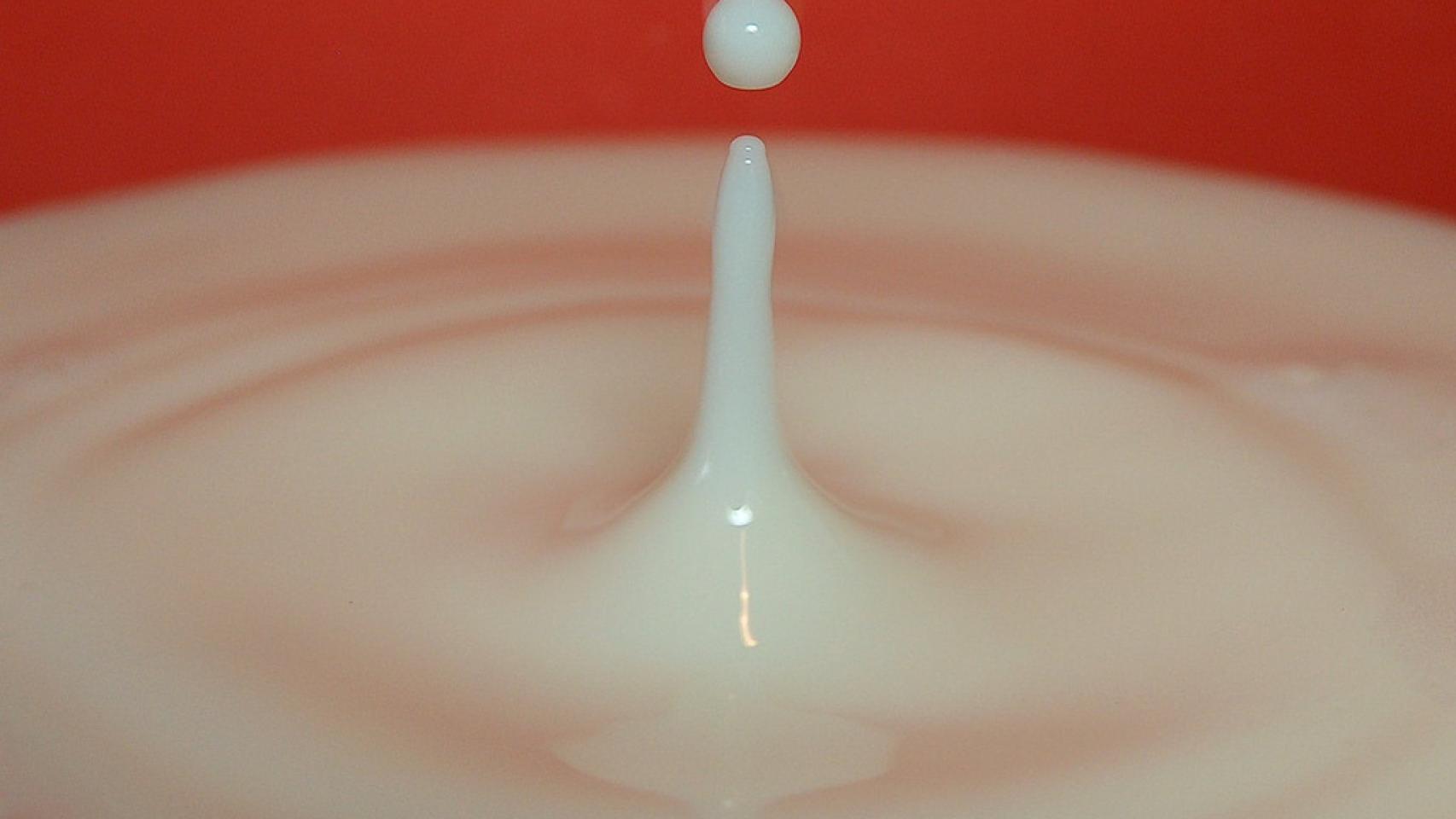 Con la colaboración del Instituto Puleva de Nutrición