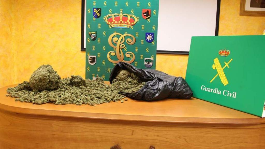 Imagen de la marihuana requisada.