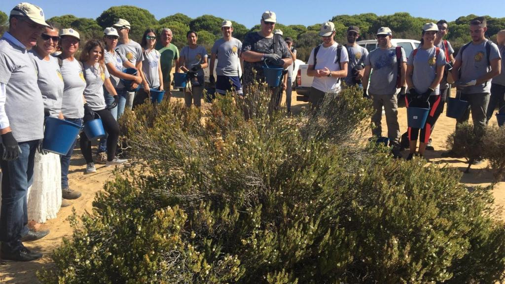 Organizan un encuentro de voluntarios para la restauración en el incendio en el entorno de Doñana