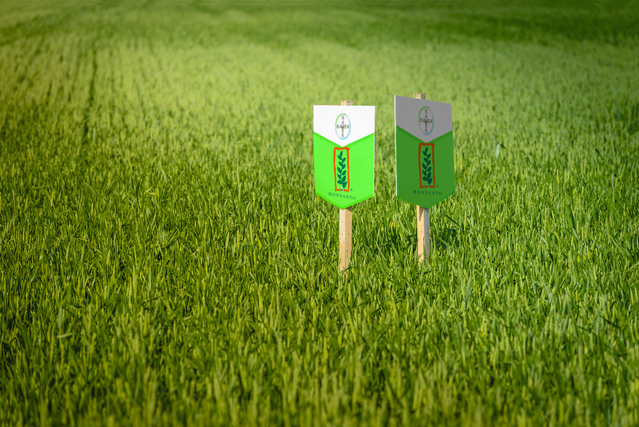 Bayer takeover of Monsanto