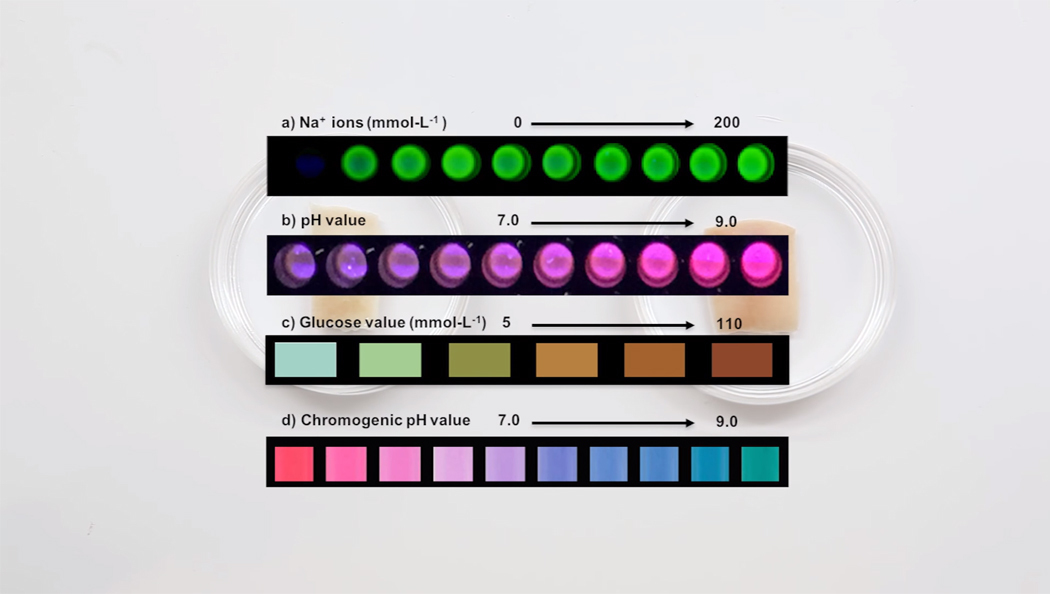 ph tinta biosensible tatuaje