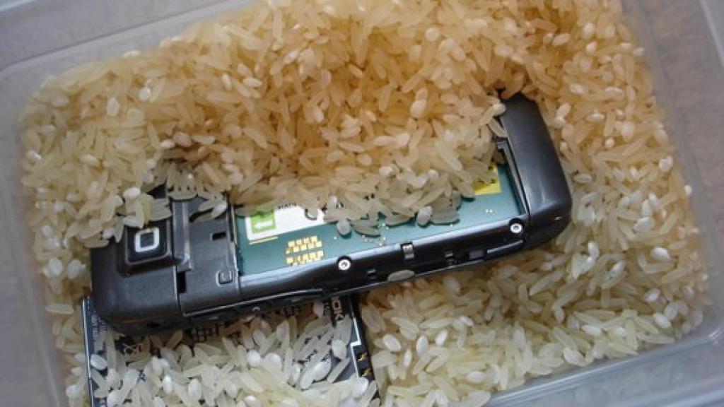 Un móvil en arroz