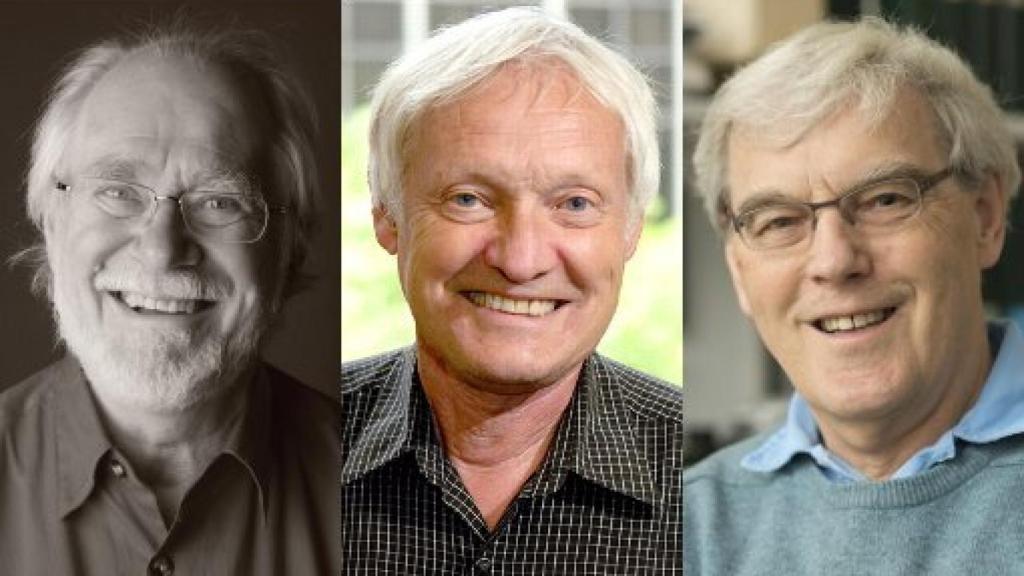 Image: Nobel de Química para la revolución de la criomicroscopía