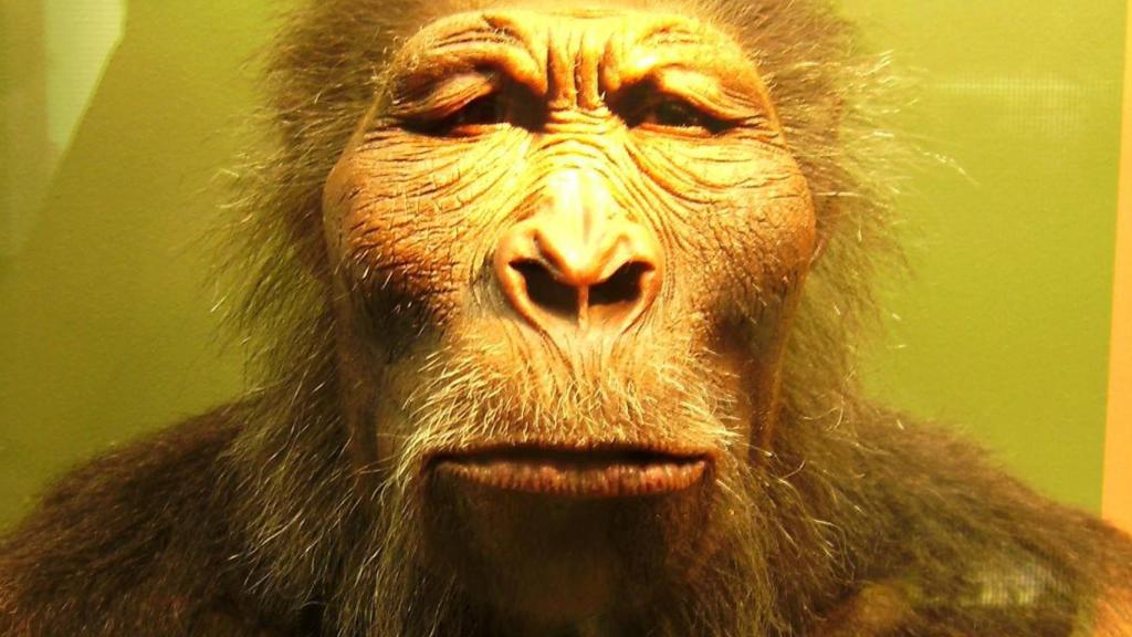 Reconstrucción del apetitoso, pero poco atractivo, Paranthropus Boisei.