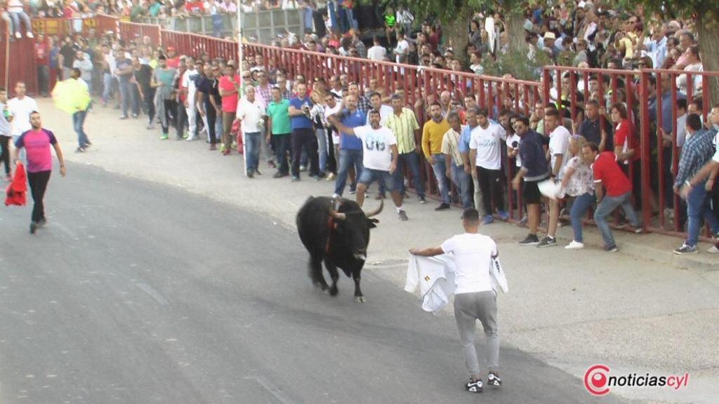 Valladolid-Rueda-toros-santos-010