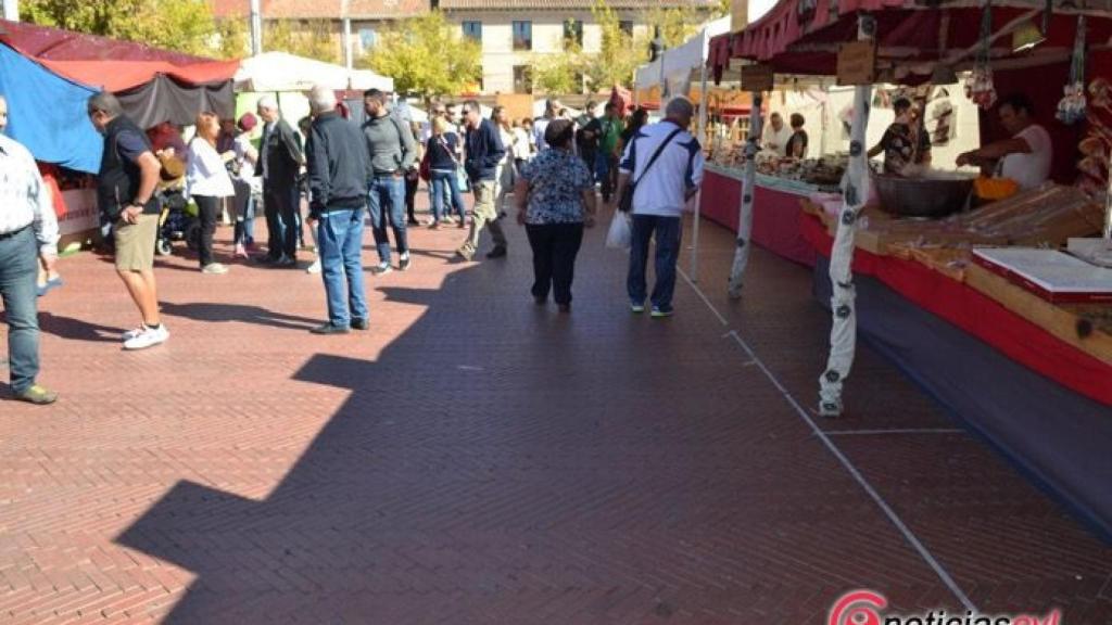 feria productos de la tierra medina valladolid 6