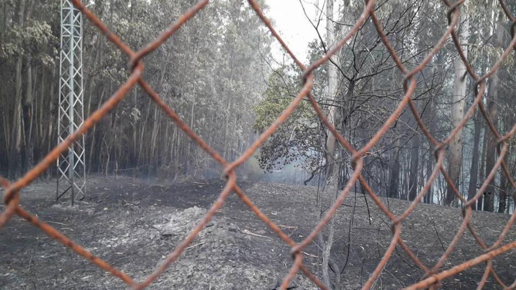 Terreno de un vecino de Chandebrito. Totalmente calcinado.