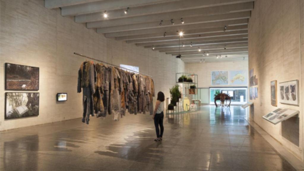 Image: El arte combate el cambio climático