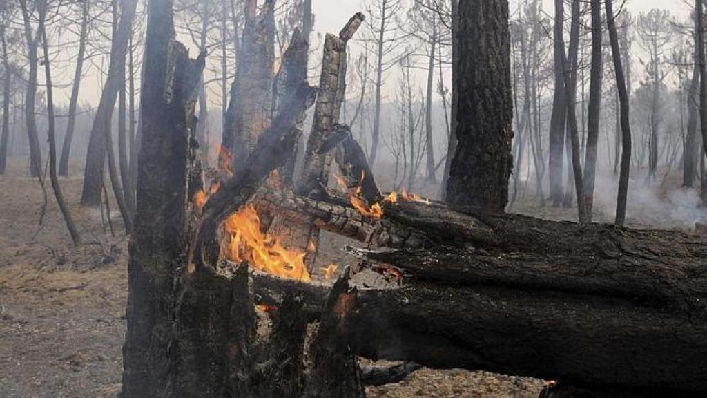 Incendio en el Pajariel en el año 2012.