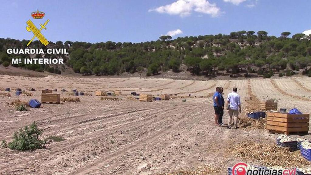 Segovia-identidades-temporeros-senegaleses