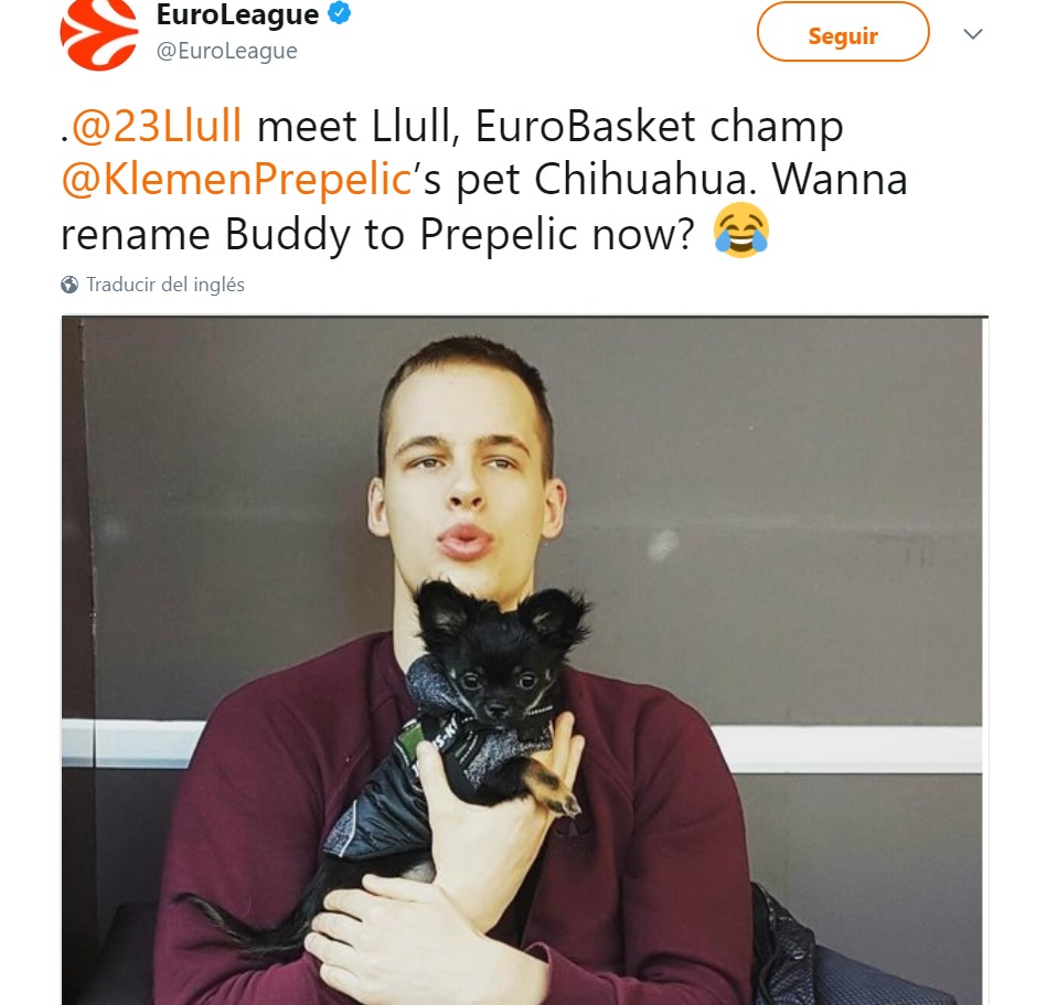El guiño de Prepelic a Llull: llama a su mascota como el madridista