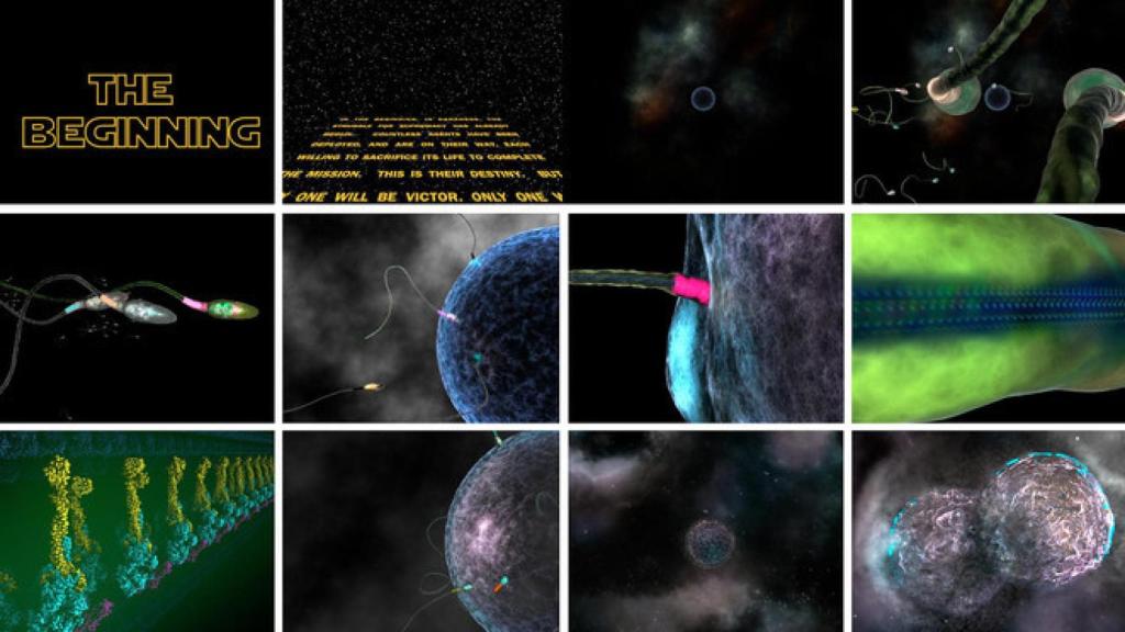 'Storyboard' general del cortometraje The Beginnig.