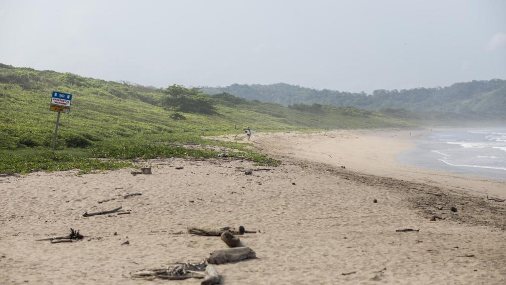El Parque Nacional Las Baulas se creó en 1987 para proteger el hábitat de la tortuga baula, cuyo número disminuyó peligrosamente.