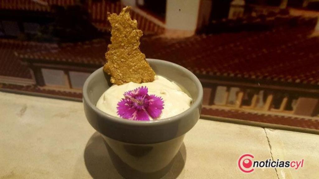 yogur-de-boletus-para-Busca