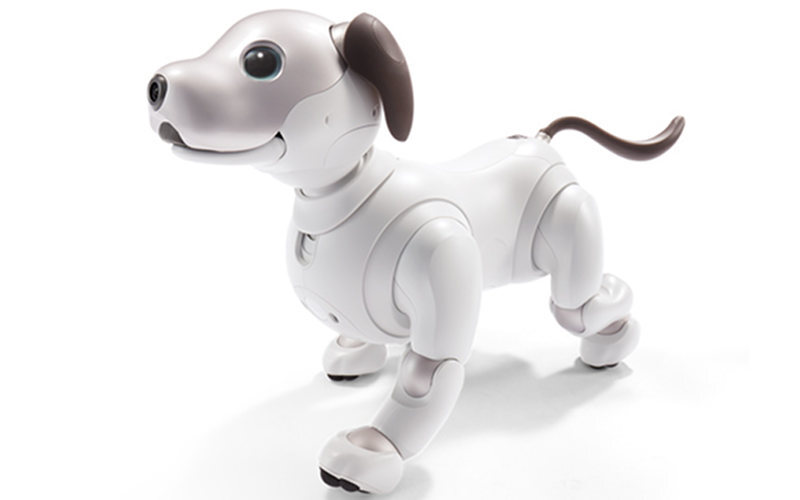 aibo 3