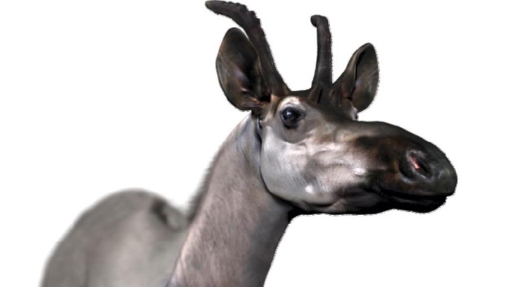 Reconstruccion de Decennatherim rex