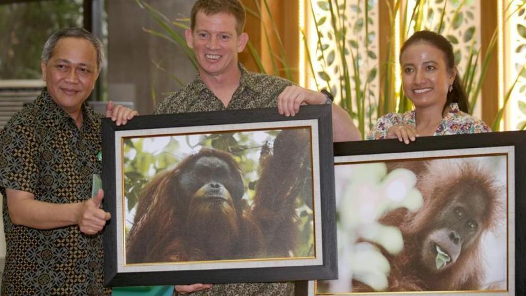 La presentación de la nueva especie.