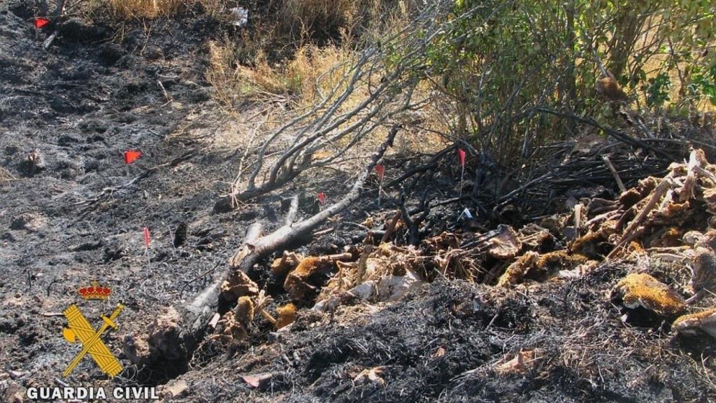 incendio-burgos-autor