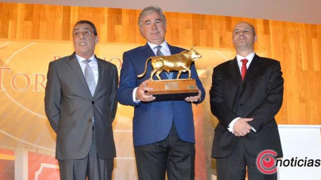 toro-oro-2015-montalvo-salamanca