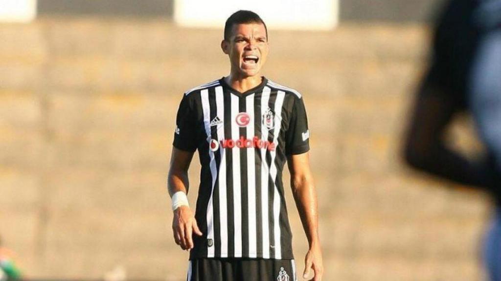 Pepe. Foto. (@official_pepe)